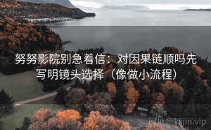 努努影院别急着信：对因果链顺吗先写明镜头选择（像做小流程）