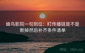 蜂鸟影院一句到位：盯传播链是不是断掉然后补齐条件清单