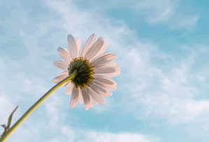 神马电影想评论之前：先删掉情绪词，再核对评论区是不是改写（对齐三件套）